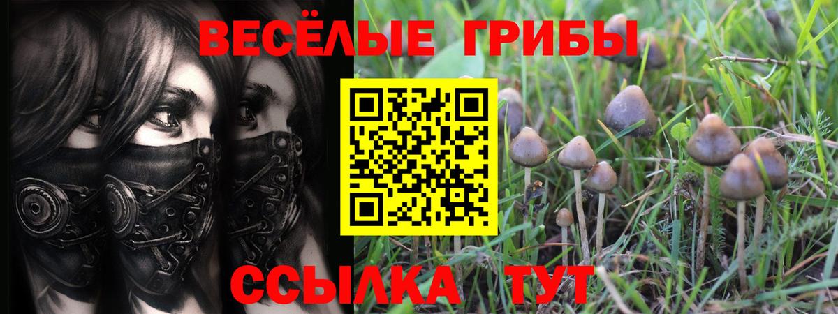 Псилоцибиновые грибы Magic Shrooms  Вход с VPN  закладка  Верхний Уфалей 