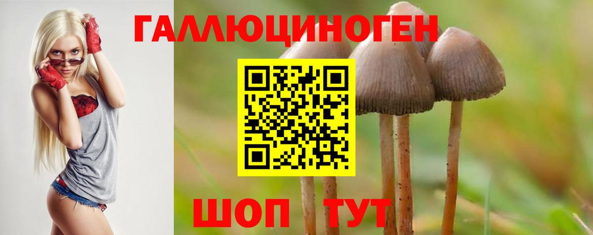 Галлюциногенные грибы мицелий Верхний Уфалей